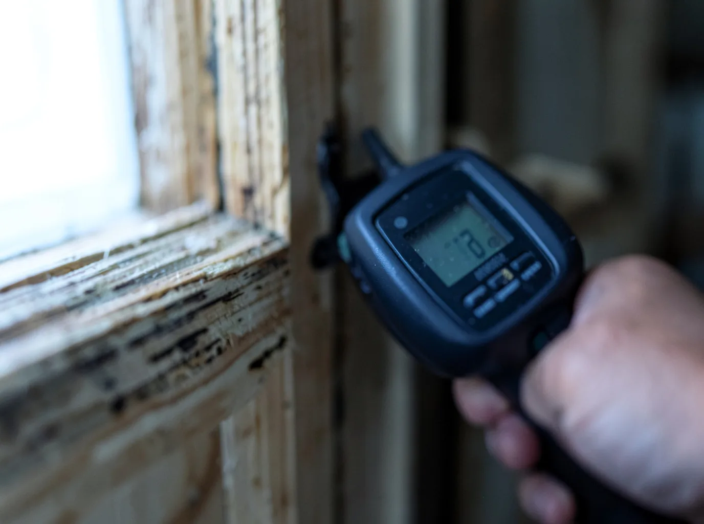 Moisture Inspection And Documentation in Sellersburg, IN